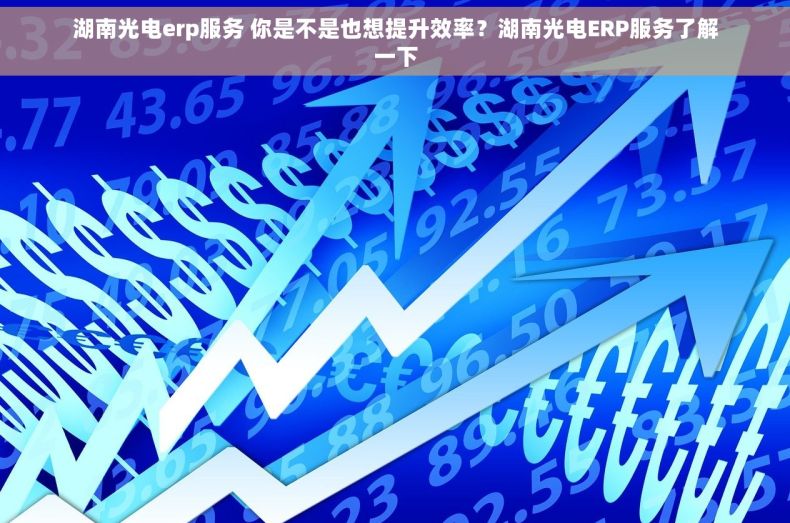 湖南光电erp服务 你是不是也想提升效率？湖南光电ERP服务了解一下