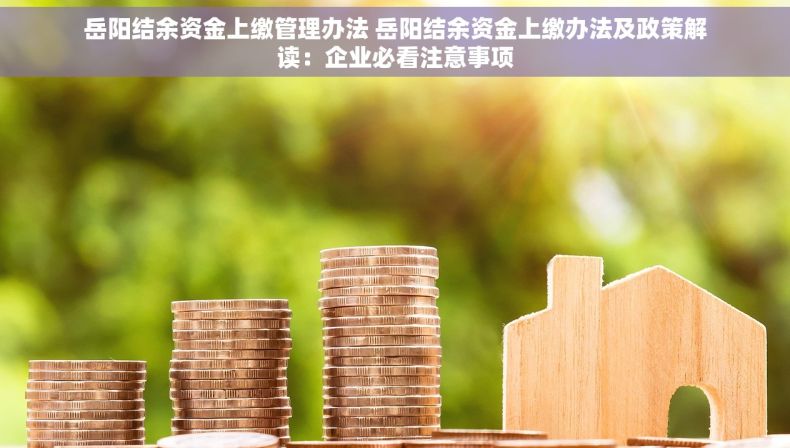 岳阳结余资金上缴管理办法 岳阳结余资金上缴办法及政策解读：企业必看注意事项