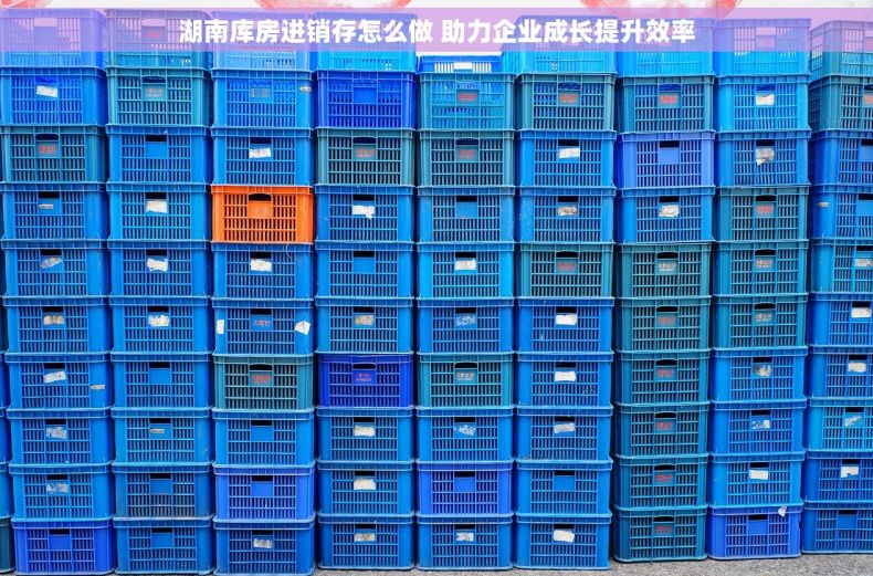 湖南库房进销存怎么做 助力企业成长提升效率
