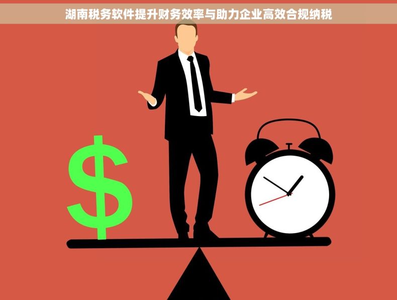 湖南税务软件提升财务效率与助力企业高效合规纳税