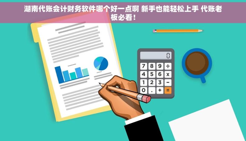 湖南代账会计财务软件哪个好一点啊 新手也能轻松上手 代账老板必看！