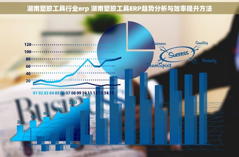 湖南塑胶工具行业erp 湖南塑胶工具ERP趋势分析与效率提升方法
