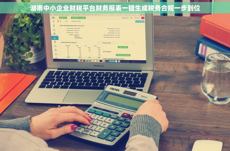 湖南中小企业财税平台财务报表一键生成税务合规一步到位