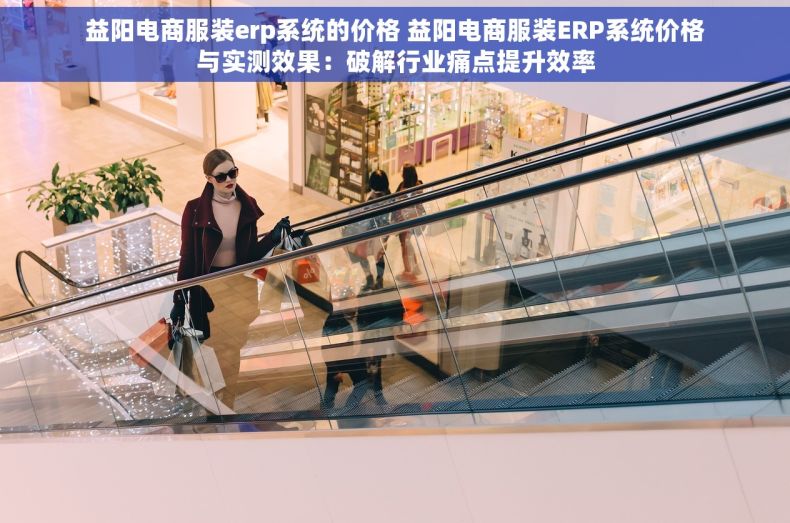 益阳电商服装erp系统的价格 益阳电商服装ERP系统价格与实测效果：破解行业痛点提升效率