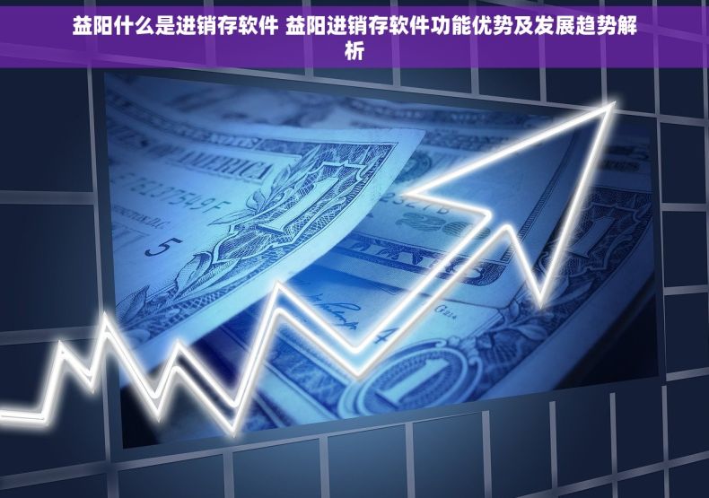 益阳什么是进销存软件 益阳进销存软件功能优势及发展趋势解析