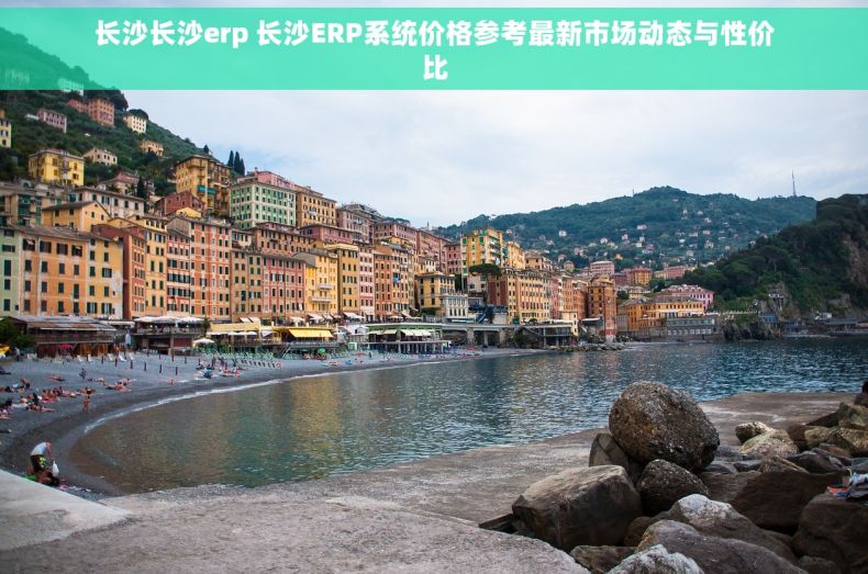 长沙长沙erp 长沙ERP系统价格参考最新市场动态与性价比