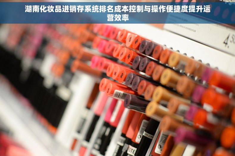 湖南化妆品进销存系统排名成本控制与操作便捷度提升运营效率