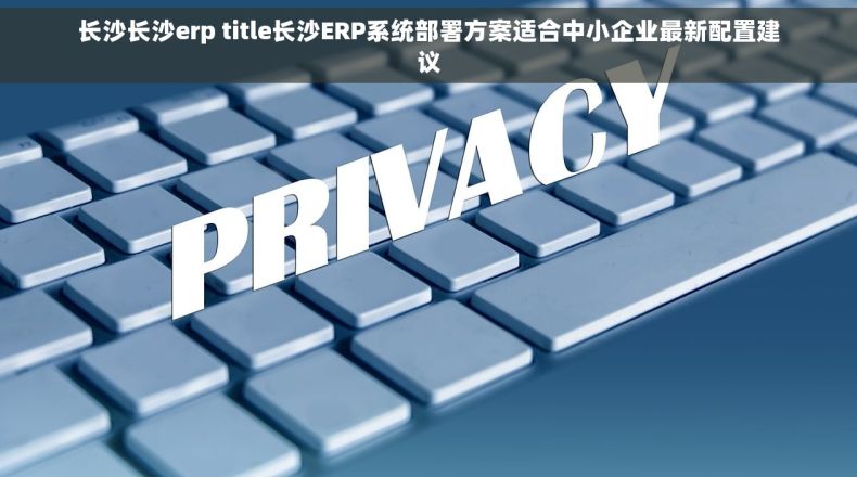 长沙长沙erp title长沙ERP系统部署方案适合中小企业最新配置建议