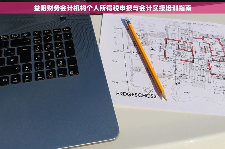 益阳财务会计机构个人所得税申报与会计实操培训指南