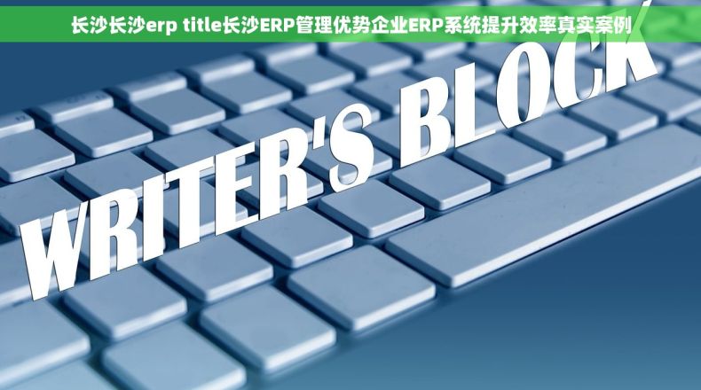 长沙长沙erp title长沙ERP管理优势企业ERP系统提升效率真实案例