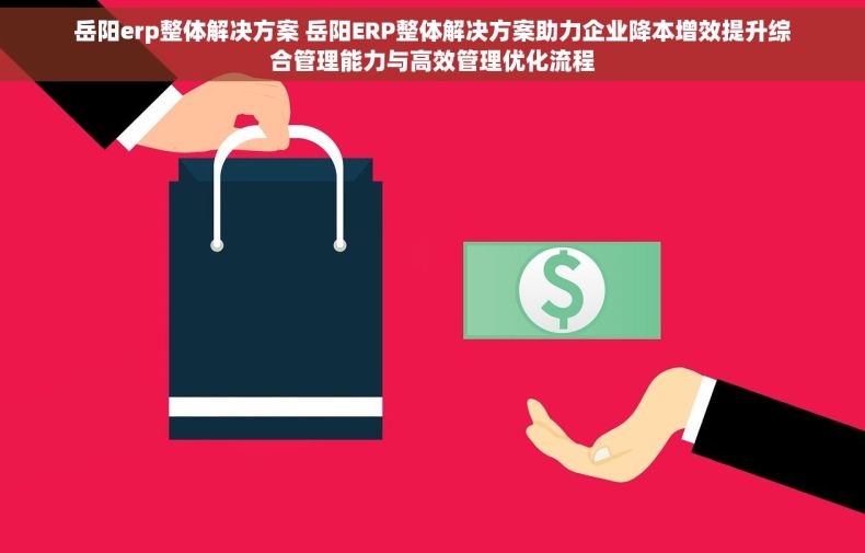 岳阳erp整体解决方案 岳阳ERP整体解决方案助力企业降本增效提升综合管理能力与高效管理优化流程