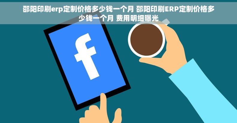 邵阳印刷erp定制价格多少钱一个月 邵阳印刷ERP定制价格多少钱一个月 费用明细曝光
