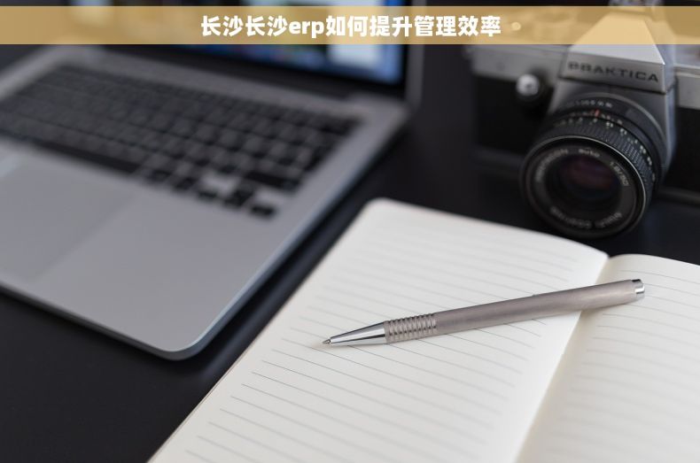 长沙长沙erp如何提升管理效率