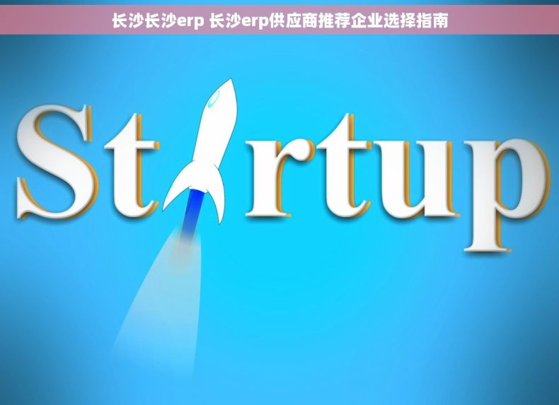 长沙长沙erp 长沙erp供应商推荐企业选择指南