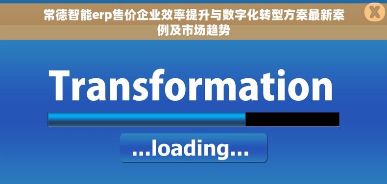 常德智能erp售价企业效率提升与数字化转型方案最新案例及市场趋势