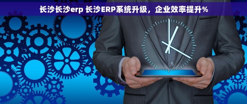 长沙长沙erp 长沙ERP系统升级，企业效率提升%