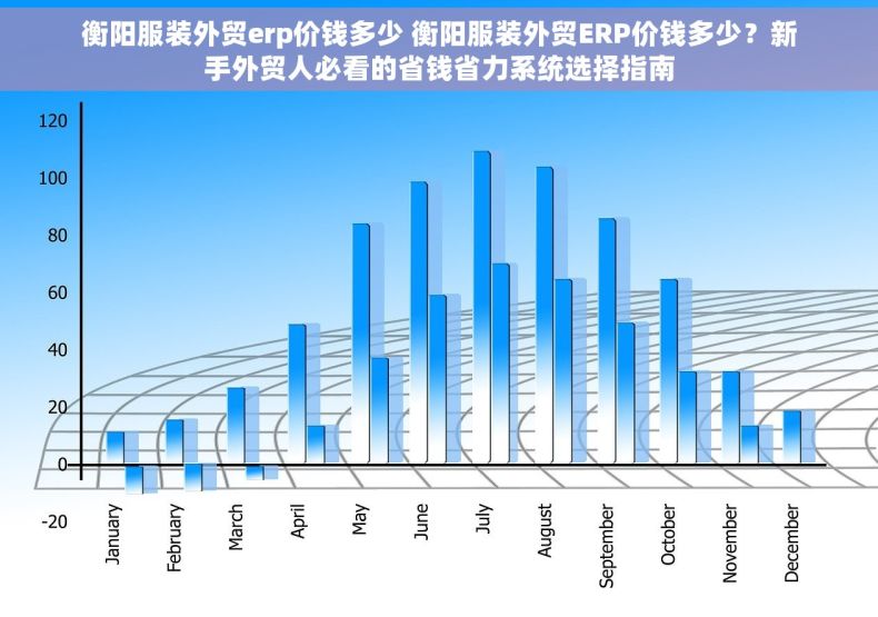 衡阳服装外贸erp价钱多少 衡阳服装外贸ERP价钱多少？新手外贸人必看的省钱省力系统选择指南