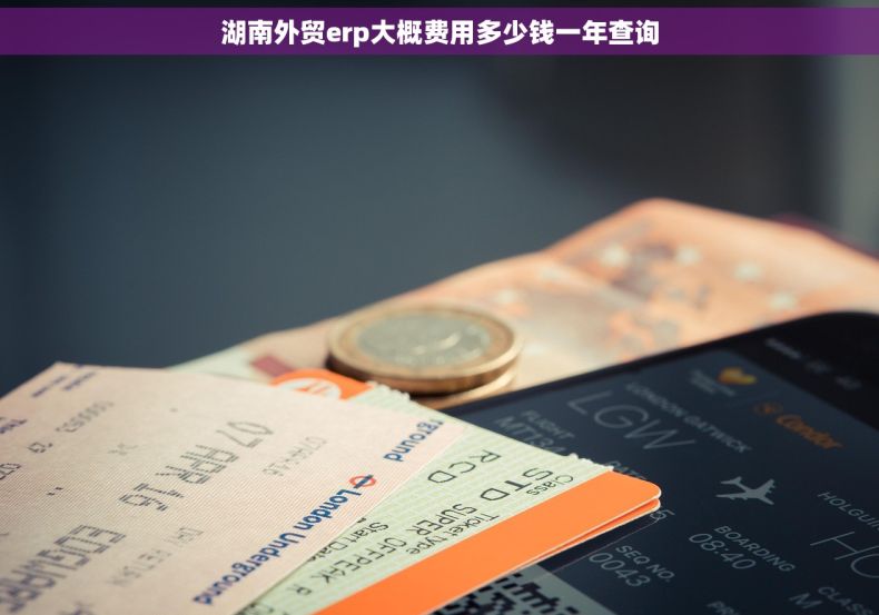 湖南外贸erp大概费用多少钱一年查询