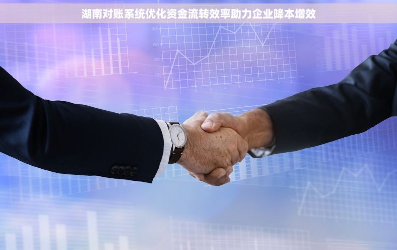 湖南对账系统优化资金流转效率助力企业降本增效