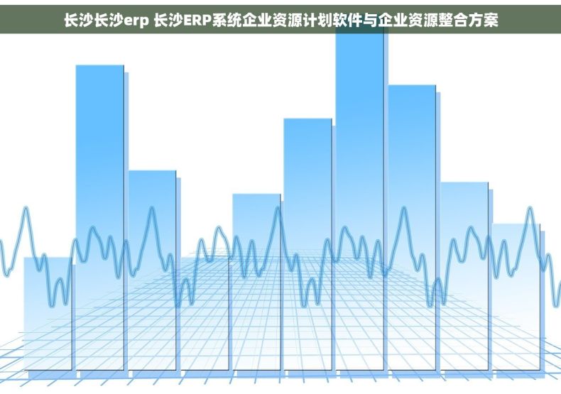 长沙长沙erp 长沙ERP系统企业资源计划软件与企业资源整合方案