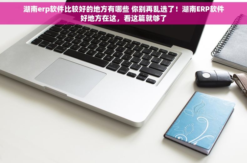 湖南erp软件比较好的地方有哪些 你别再乱选了！湖南ERP软件好地方在这，看这篇就够了