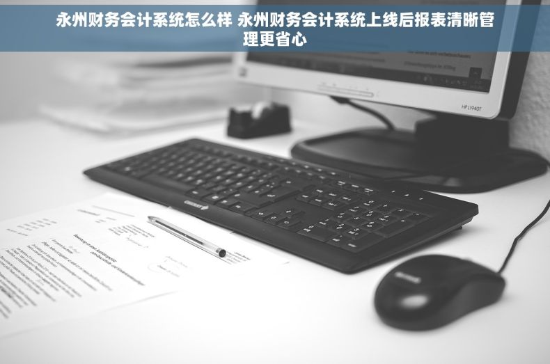 永州财务会计系统怎么样 永州财务会计系统上线后报表清晰管理更省心