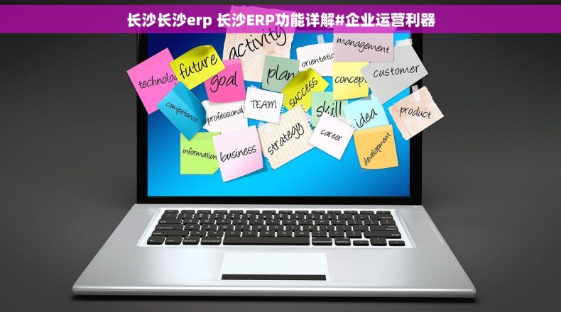 长沙长沙erp 长沙ERP功能详解#企业运营利器