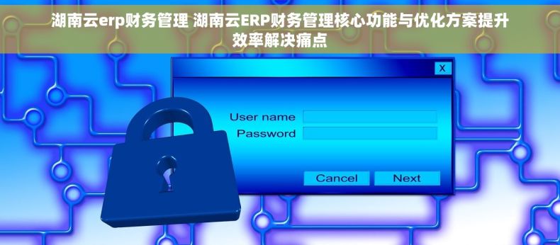 湖南云erp财务管理 湖南云ERP财务管理核心功能与优化方案提升效率解决痛点
