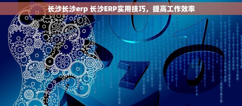长沙长沙erp 长沙ERP实用技巧，提高工作效率