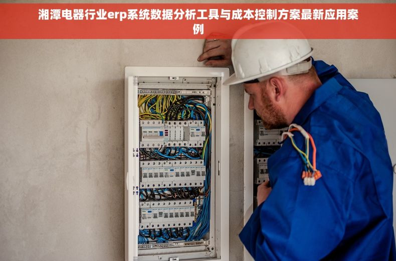 湘潭电器行业erp系统数据分析工具与成本控制方案最新应用案例