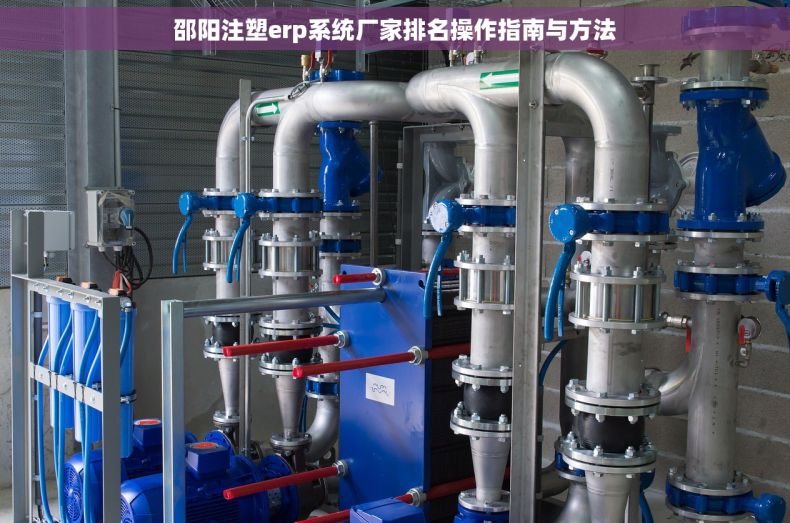 邵阳注塑erp系统厂家排名操作指南与方法