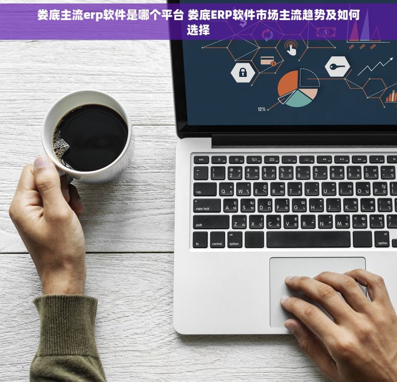 娄底主流erp软件是哪个平台 娄底ERP软件市场主流趋势及如何选择