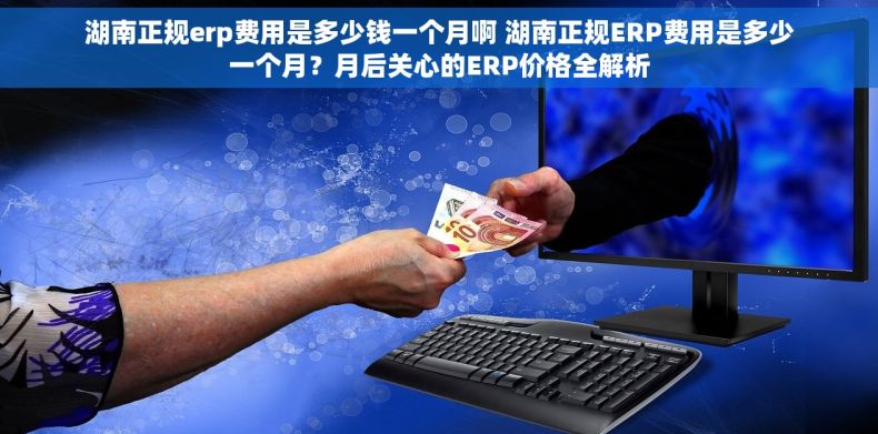 湖南正规erp费用是多少钱一个月啊 湖南正规ERP费用是多少一个月？月后关心的ERP价格全解析