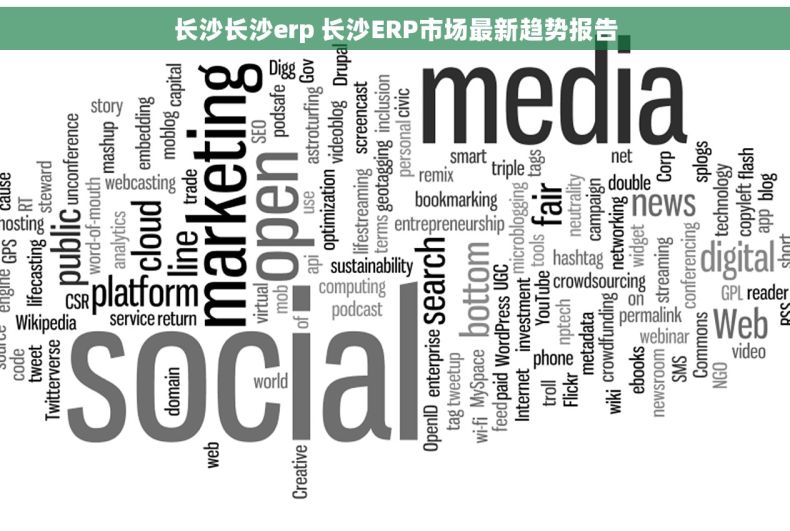 长沙长沙erp 长沙ERP市场最新趋势报告