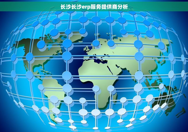 长沙长沙erp服务提供商分析
