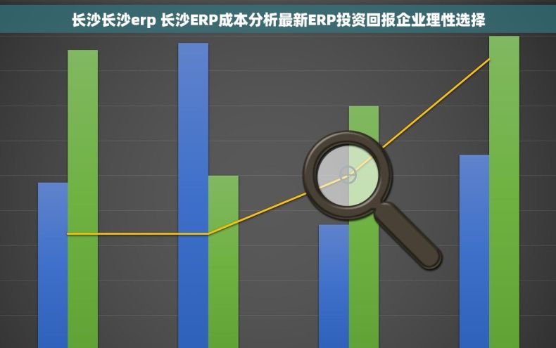 长沙长沙erp 长沙ERP成本分析最新ERP投资回报企业理性选择
