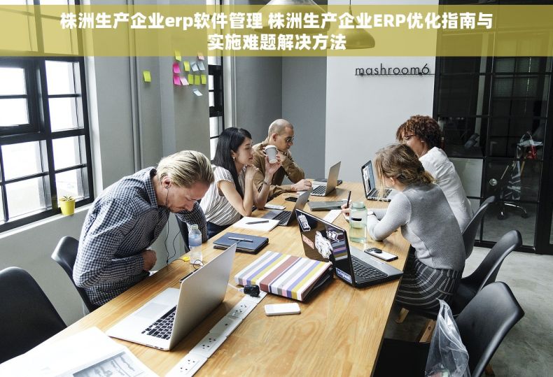 株洲生产企业erp软件管理 株洲生产企业ERP优化指南与实施难题解决方法