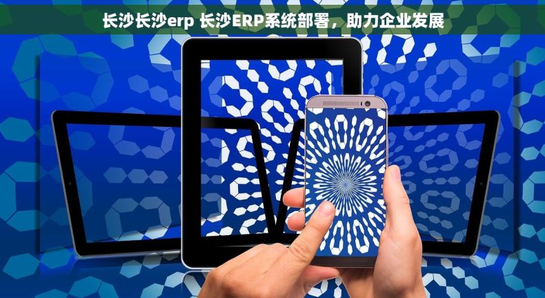 长沙长沙erp 长沙ERP系统部署，助力企业发展
