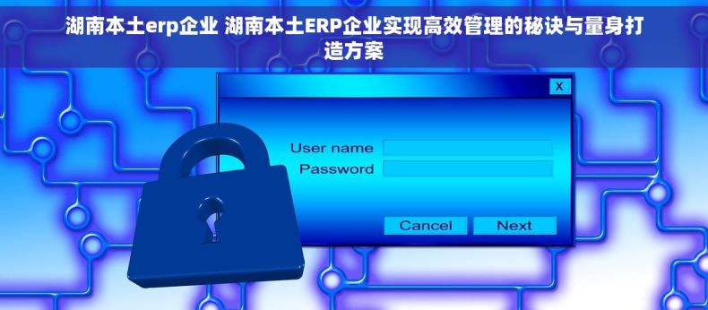 湖南本土erp企业 湖南本土ERP企业实现高效管理的秘诀与量身打造方案