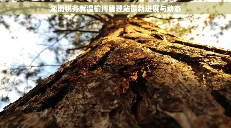 湖南税务就温榆河管理站最新进展与动态