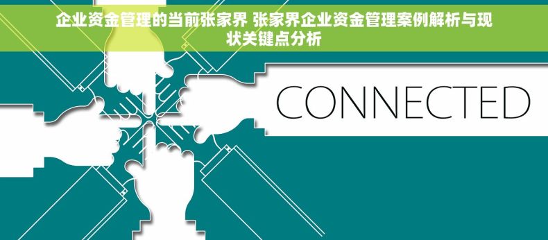 企业资金管理的当前张家界 张家界企业资金管理案例解析与现状关键点分析