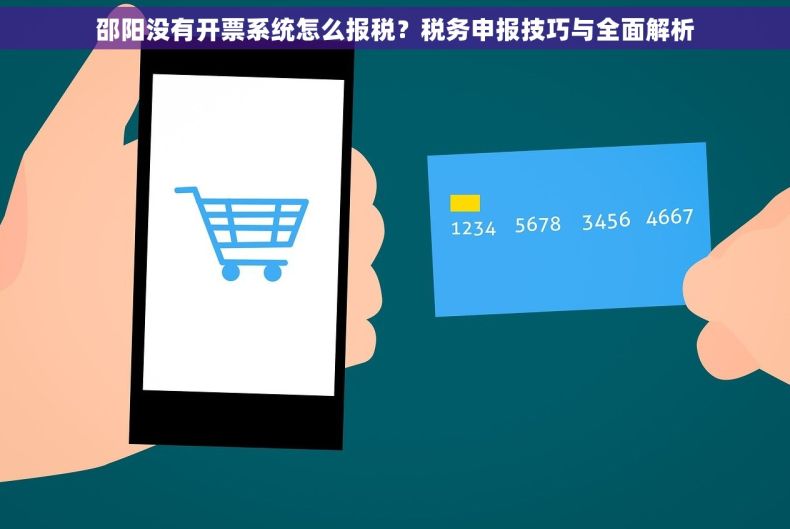 邵阳没有开票系统怎么报税？税务申报技巧与全面解析