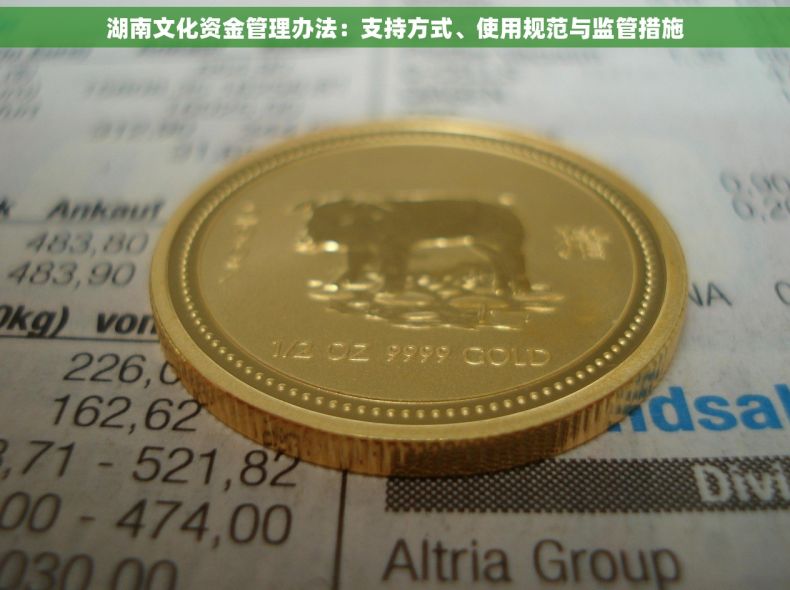 湖南文化资金管理办法：支持方式、使用规范与监管措施