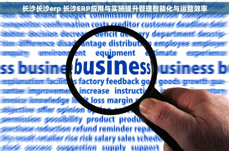 长沙长沙erp 长沙ERP应用与实施提升管理智能化与运营效率