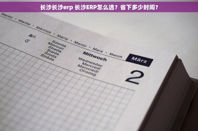 长沙长沙erp 长沙ERP怎么选？省下多少时间？