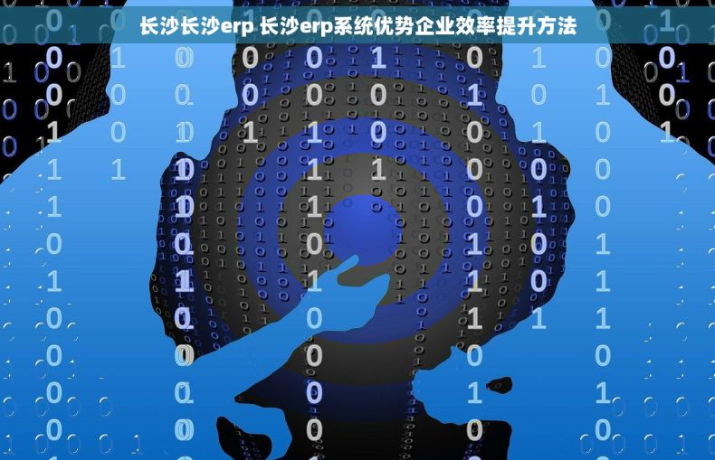 长沙长沙erp 长沙erp系统优势企业效率提升方法