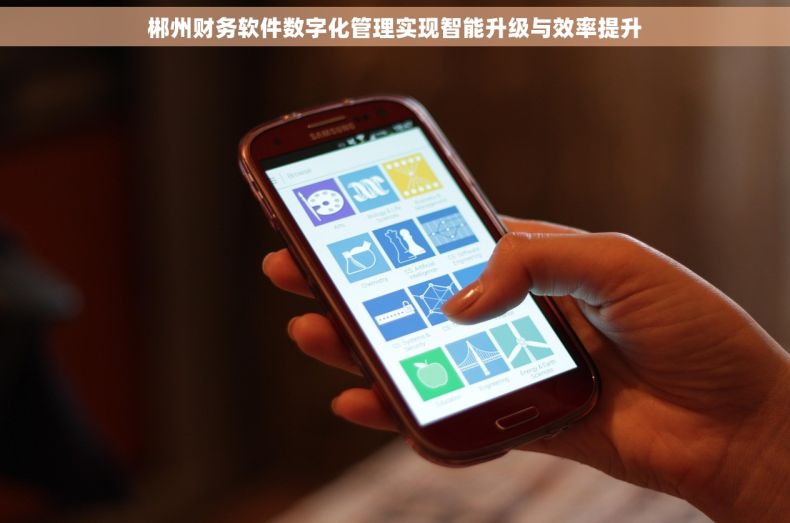 郴州财务软件数字化管理实现智能升级与效率提升