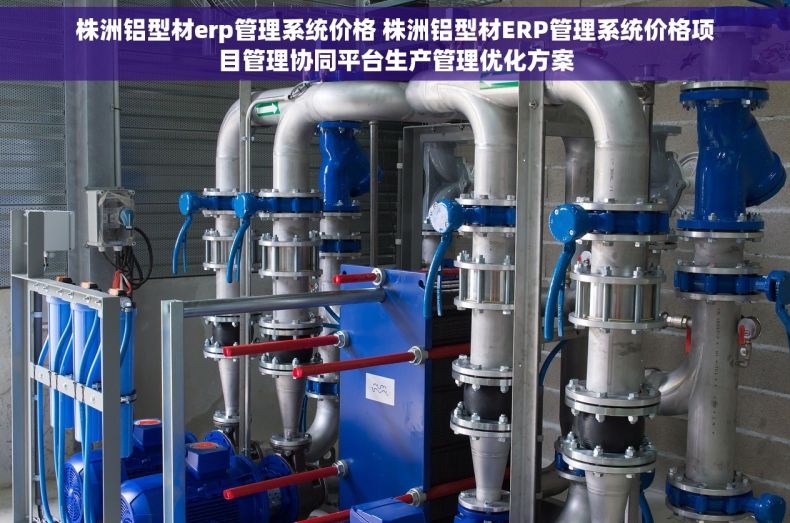 株洲铝型材erp管理系统价格 株洲铝型材ERP管理系统价格项目管理协同平台生产管理优化方案