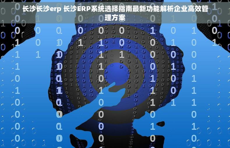 长沙长沙erp 长沙ERP系统选择指南最新功能解析企业高效管理方案