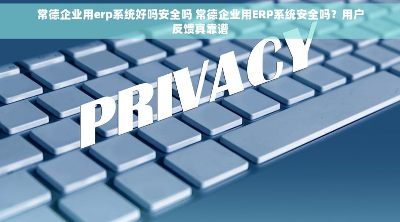 常德企业用erp系统好吗安全吗 常德企业用ERP系统安全吗？用户反馈真靠谱
